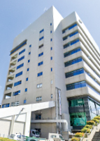 写真：沖縄事務所